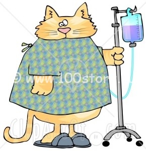 6322 Orange Tabby Cat With An IV Dispenser In A Hospital Clipart Picture1 290x300 Хворый кот