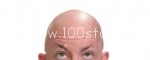 bald head 150x60 Буль третий   Летняя стрижка