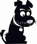 black dog1 Собачье счастье